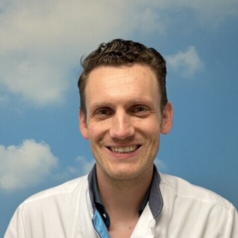 De heer dr. L. van Gils